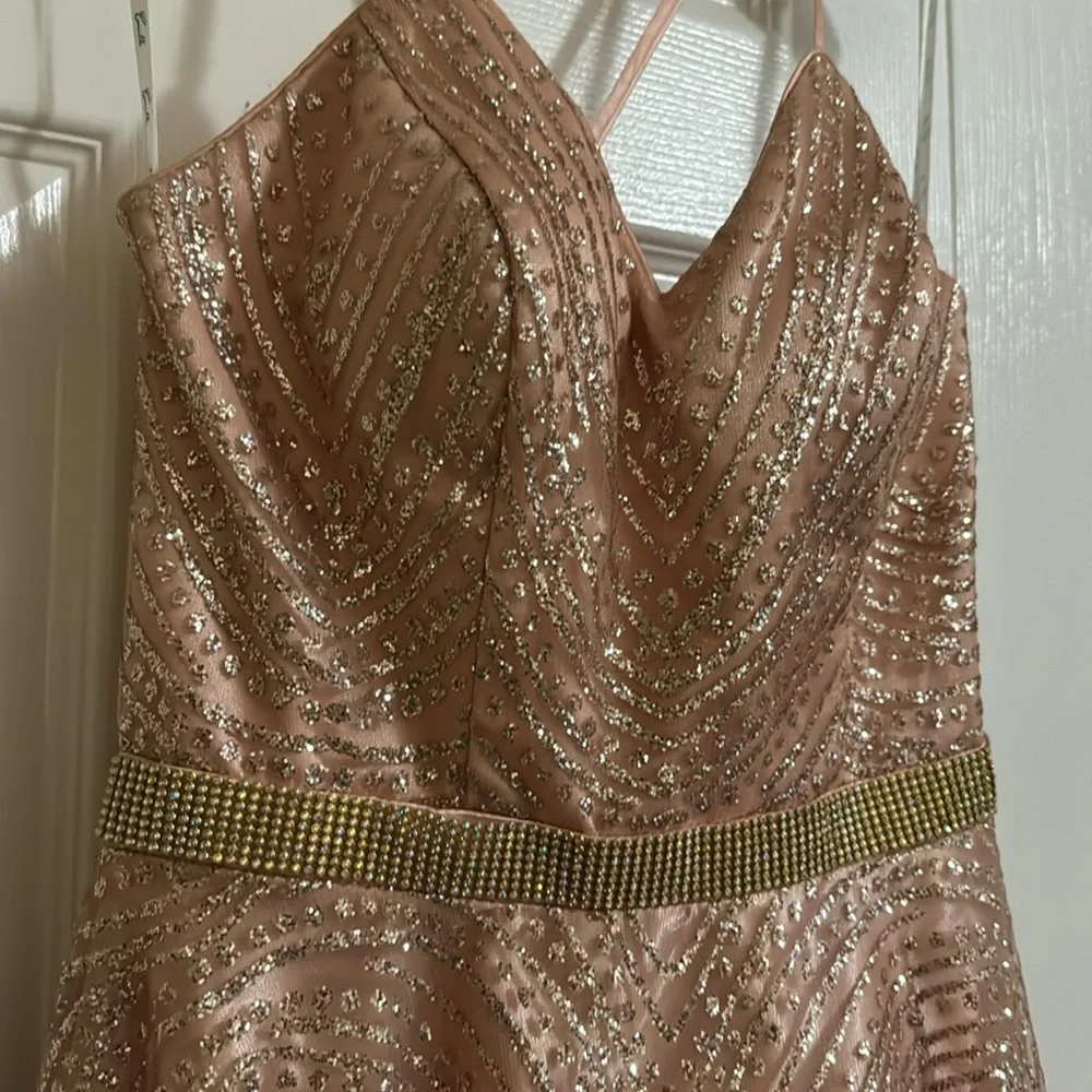 Pink Gown - Picture 11 of 11